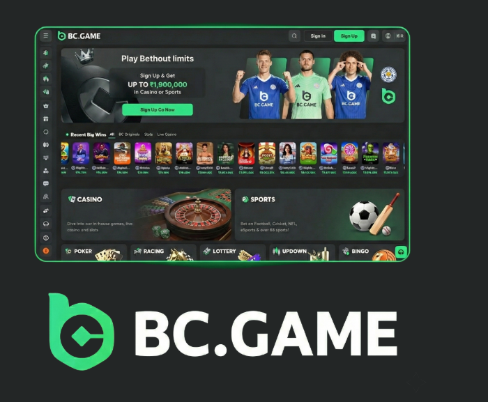 Complete Guide to BC.Game Mirror Registration -399161041 Complete Guide to BC.Game Mirror Registration -399161041